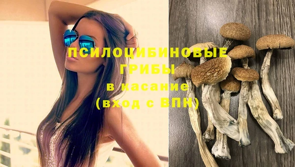 дживик Медногорск