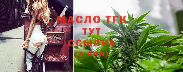 прущий лед Михайлов